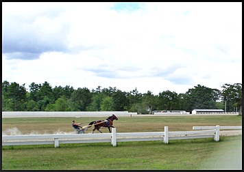 Harness Racing