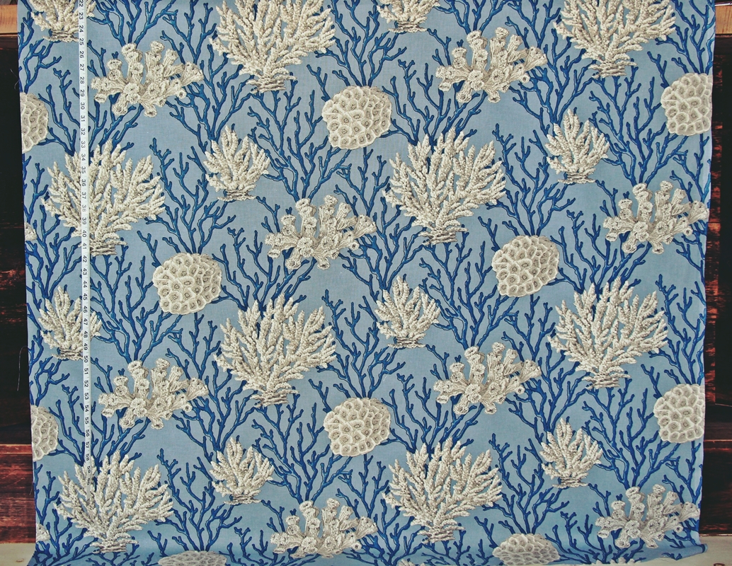 White Coral on a Blue Background