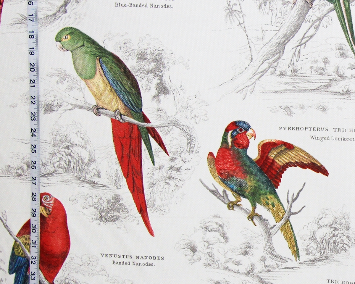 TROPICAL PARROT TOILE FABRIC