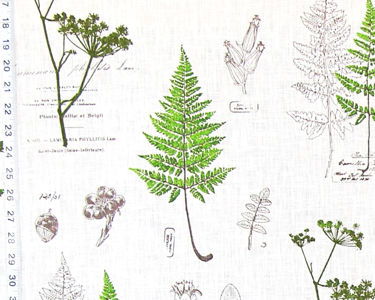 GREEN FERN NATURE FABRIC