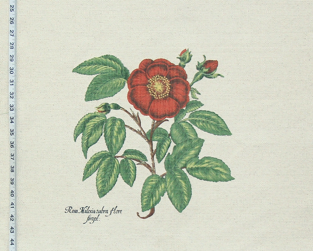 BOTANICAL ROSE FABRIC