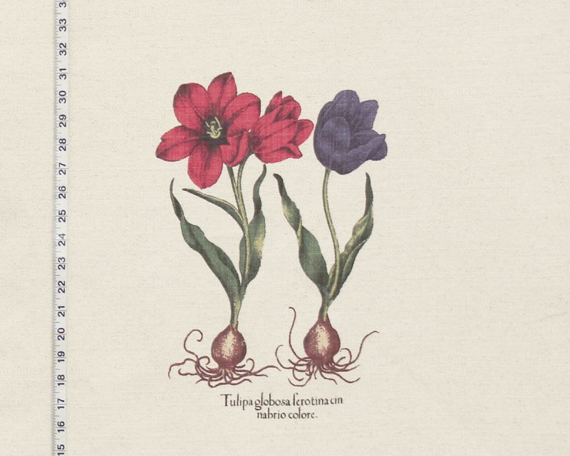 BOTANICAL TULIP PRINT