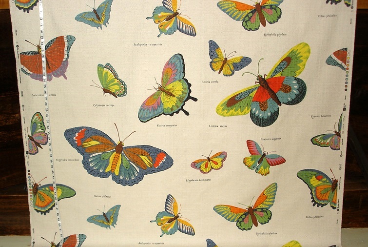 BUTTERFLY FABRIC DOCUMENT PRINT