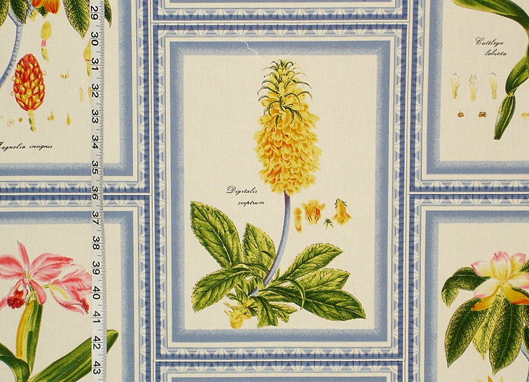 Gaston Y Daniella Fabric- Floral Botanical