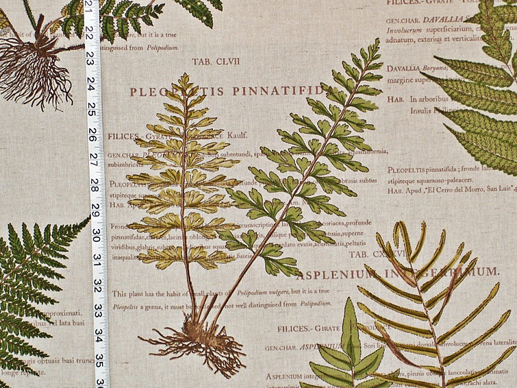 FERN FABRIC