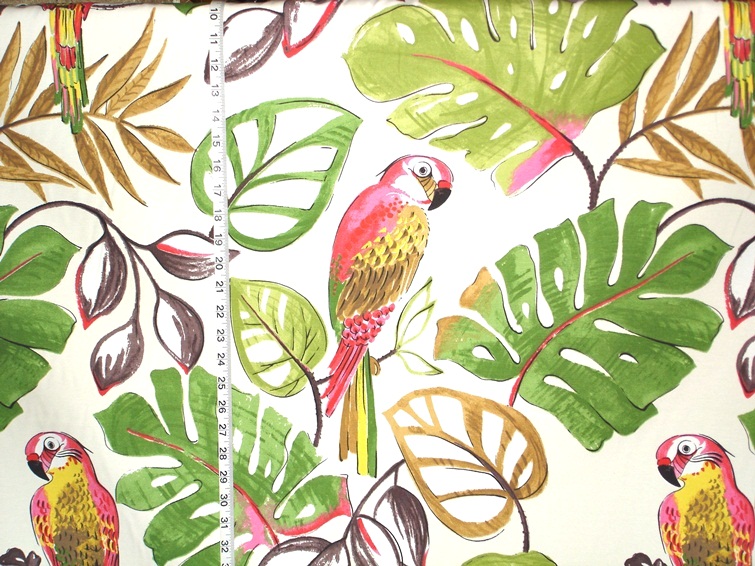Funky Parrot Fabric