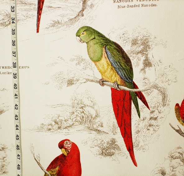 Parrot Toile Fabric