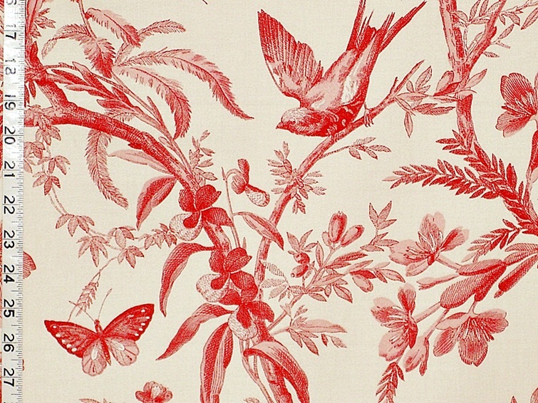 P.Kaufmann Aviary Toile madder red bird fabric