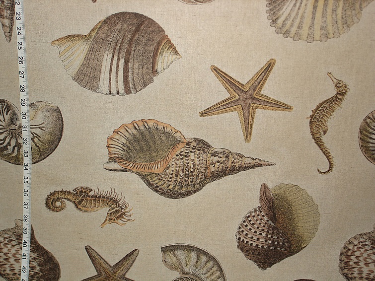Seashell seahorse fabric brown nautilus starfish from Brick House Fabric:  Novelty Fabric