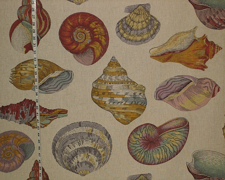 Seashell fabric nautilus tan toile