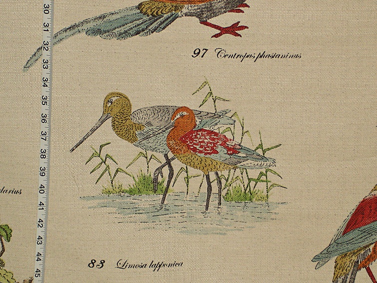 Birding Fabric Limosa lapponica