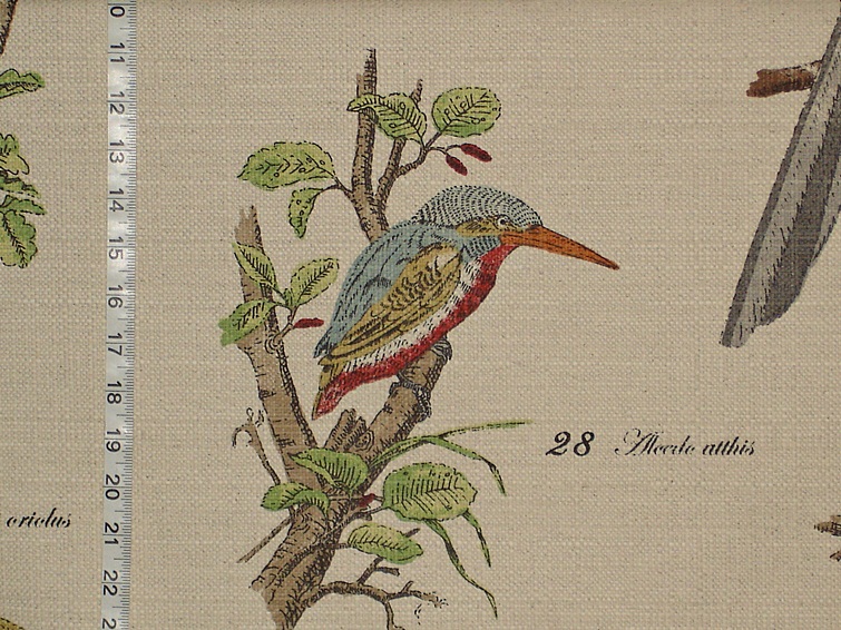 Bird fabric Kingfisher