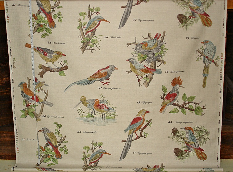 Bird Print Fabric